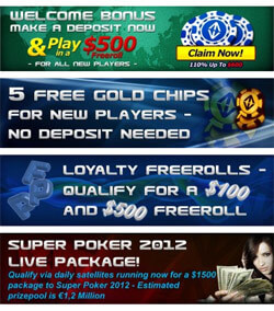 Download and play at All in Poker